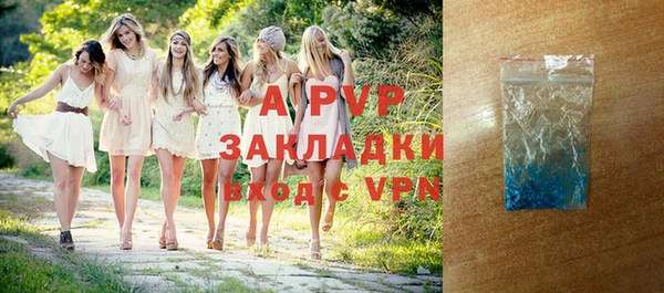 стаф Кущёвская