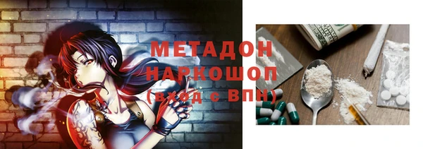 стаф Кущёвская