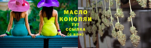 стаф Кущёвская