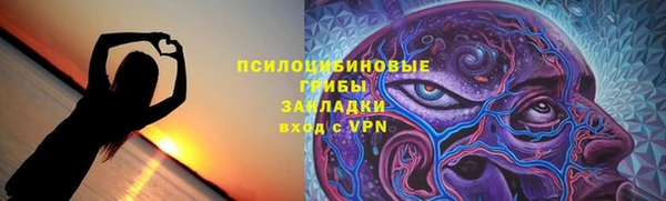 стаф Кущёвская