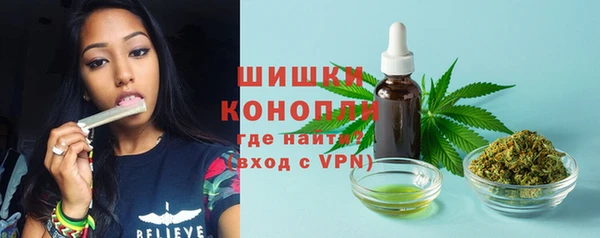 крисы Россошь