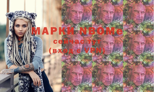 стаф Кущёвская