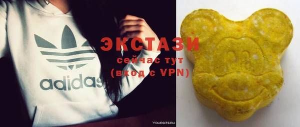стаф Кущёвская