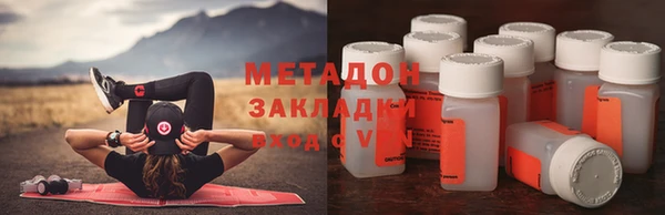стаф Кущёвская