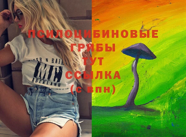 гидра Калининец