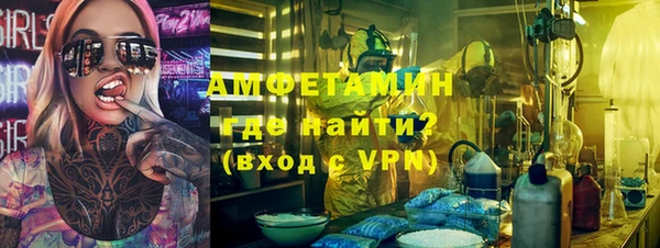гидра Калининец