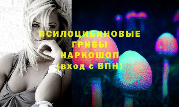 соль ск Иноземцево