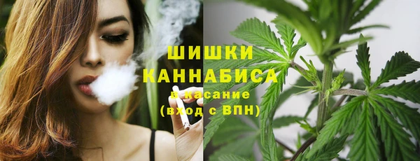стаф Кущёвская