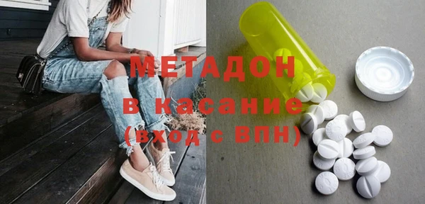 стаф Кущёвская