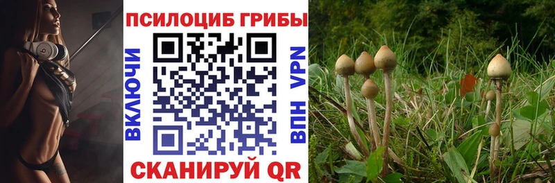 Псилоцибиновые грибы мицелий Ноябрьск