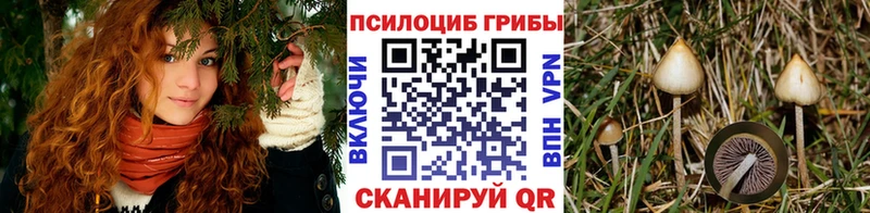 ОМГ ОМГ рабочий сайт  купить   Ноябрьск  Галлюциногенные грибы GOLDEN TEACHER 