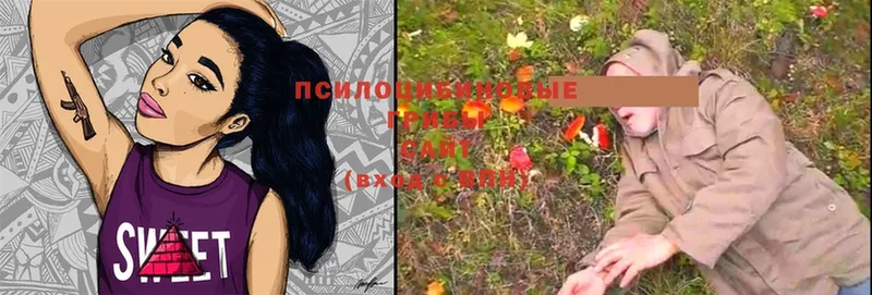 Галлюциногенные грибы MAGIC MUSHROOMS  Ноябрьск 
