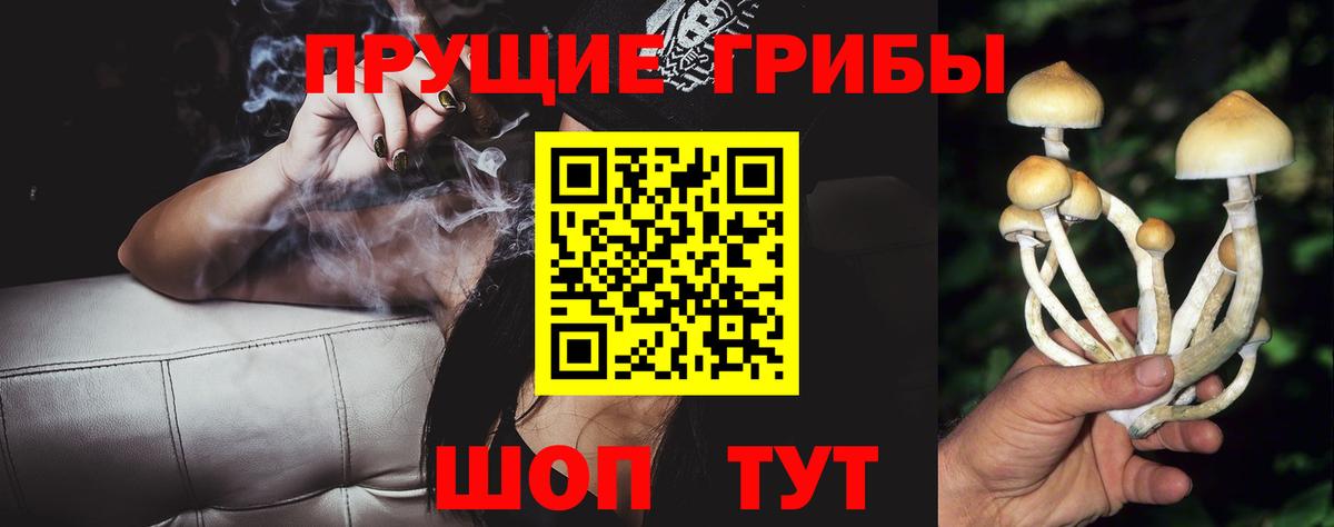 Галлюциногенные грибы прущие грибы Ноябрьск
